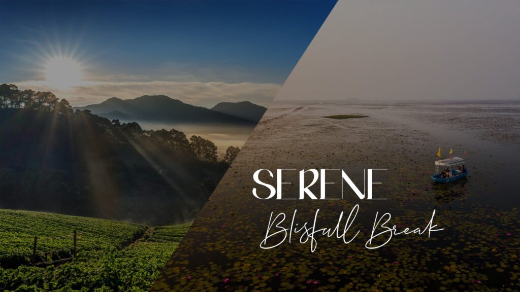 SERENE BLISSFUL BREAK