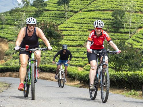Tea Estate Cycling